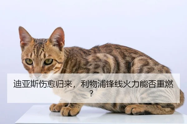 迪亚斯伤愈归来，利物浦锋线火力能否重燃？