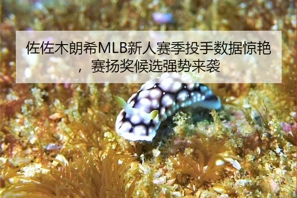 zuo-zuo-mu-lang-xi-xin-ren-sai-ji-tou-shou-shu-ju-jing-yan-sai-yang-jiang-hou-xuan-qiang-shi-lai-xi-2-998.jpg