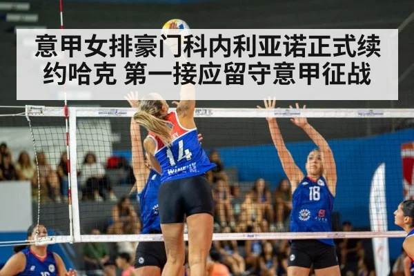 volleyball arena match
